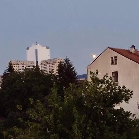 Urban Jungle Pannonica *